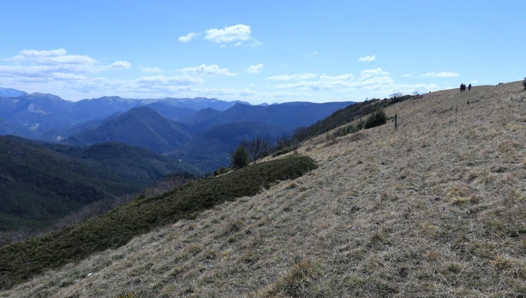 Plan large de l'alpage de la Grésière
