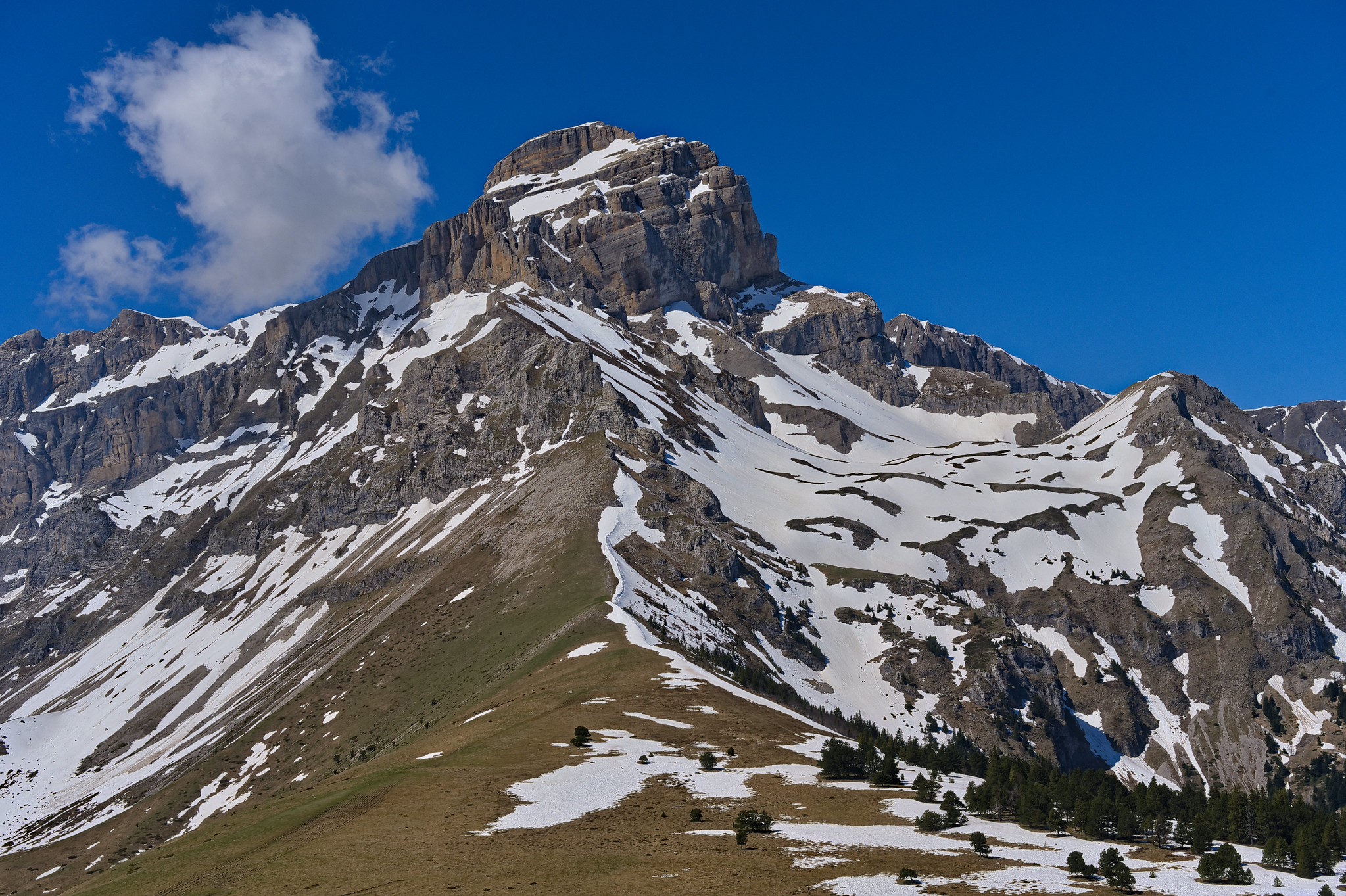 tetedelagarde
