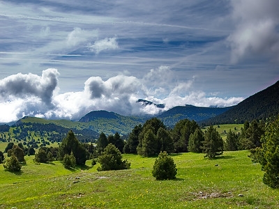 53777272804_e656be60a9_w