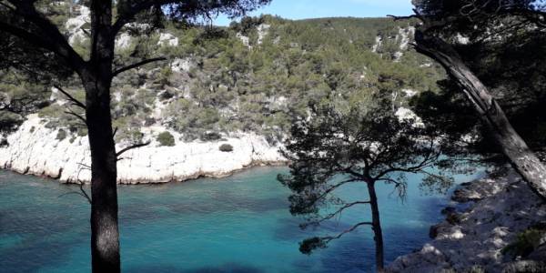 Resized_20260330_114859